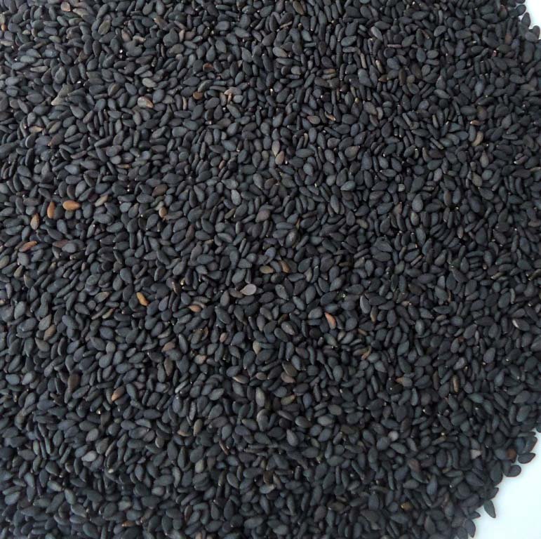 Black Sesame Seeds Rajkamal Agro Industries